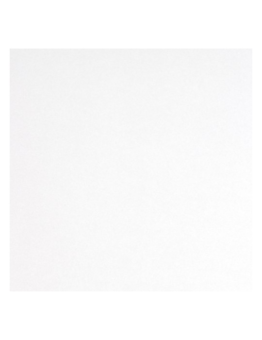 CAR100B - Film de protection automobile Brillant